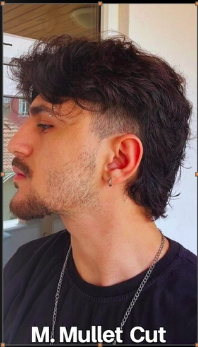 Mullet Cut